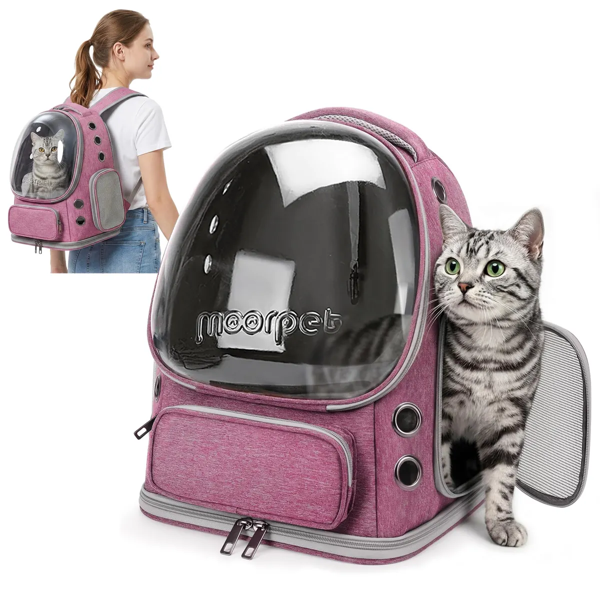 ALLSOPETS Mochila Gato Burbuja