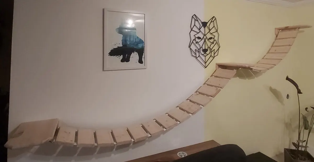 Parque de pared para Main Coon