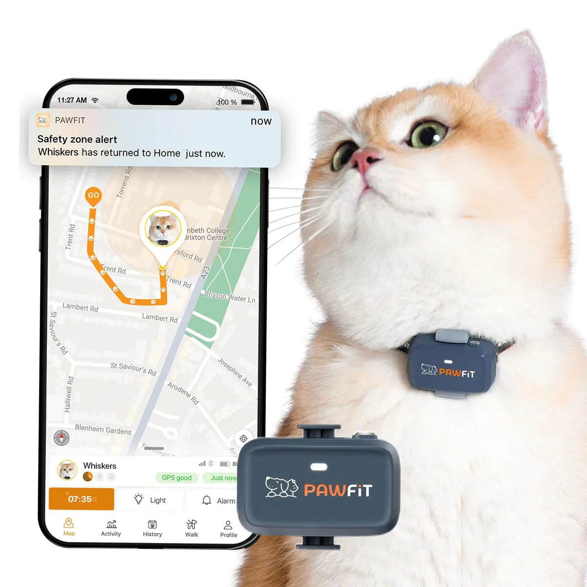 Pawfit Lite - Rastreador GPS 4g para gatos | Diseño ultra pequeño (<18g) | Seguimiento en