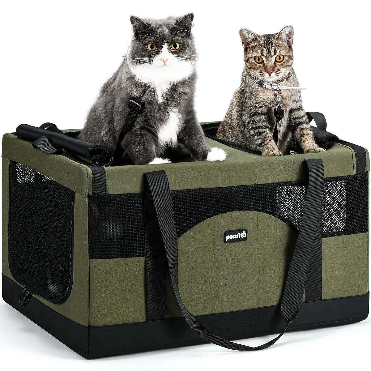 Pecute Transportín para Gatos con Doble Compartimento